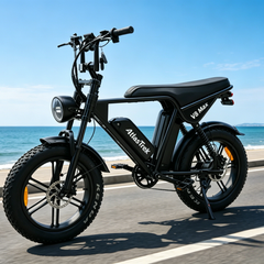 V8 Max | 250W | 48V 15Ah|50-60 Miles | 45° Climb|5-6h Charge|20*4.0