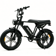 V8 Max | 250W | 48V 15Ah|50-60 Miles | 45° Climb|5-6h Charge|20*4.0