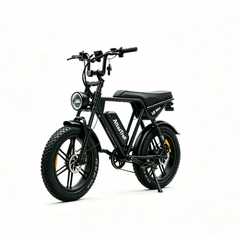 V8 Max | 250W | 48V 15Ah|50-60 Miles | 45° Climb|5-6h Charge|20*4.0