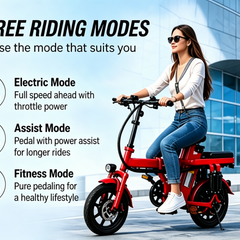 Foldable Electric Bike for Adults, 800W Peak Motor,20MPH Ebike, 30 Miles Range, 48V15Ah RemovableBattery, 3 Riding Modes