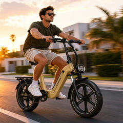 EF1 |E-bike |750W motor|  48V/22.5AH | 32 Mph |