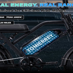 T16|VTT électriques|1000W |48V 15.6Ah|