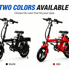 Foldable Electric Bike for Adults, 800W Peak Motor,20MPH Ebike, 30 Miles Range, 48V15Ah RemovableBattery, 3 Riding Modes