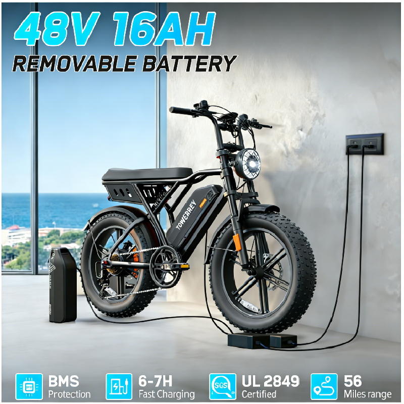 T16|VTT électriques|1000W |48V 15.6Ah|