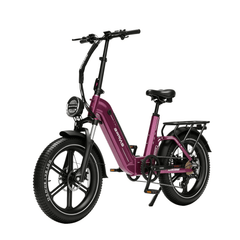 EF1 |E-bike |750W motor|  48V/22.5AH | 32 Mph |