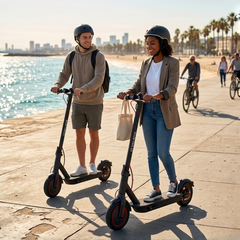 G3|18MPH|22miles|10inch|500w