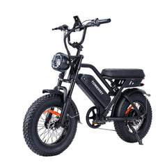 T16|VTT électriques|1000W |48V 15.6Ah|