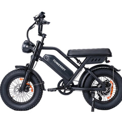 T16|VTT électriques|1000W |48V 15.6Ah|