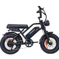 T16|VTT électriques|1000W |48V 15.6Ah|
